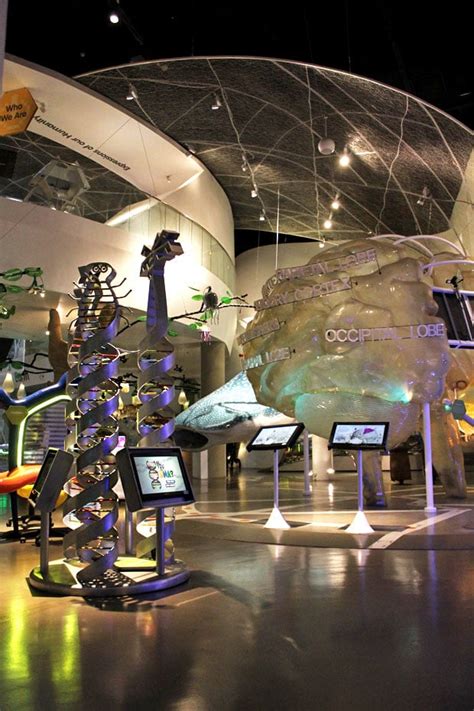 the mind museum reviews|Because Science, at the Mind Museum: What to Do in Manila.